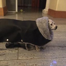 Hunde winterjacke + winterschuhe in der Größe 42 von der marke wolters an einer Hunde puppe ausprobiert . Noch nie benutzt