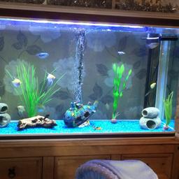 Come with everything 23 fish..ornaments.food.all cleaning stuff..