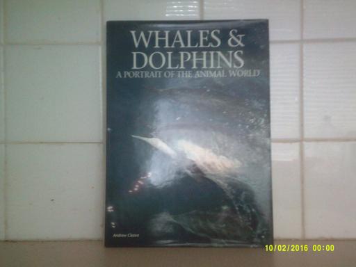 Buy & Sell Tyne and Wear Sunderland - Photos for Whales and Dolphins book