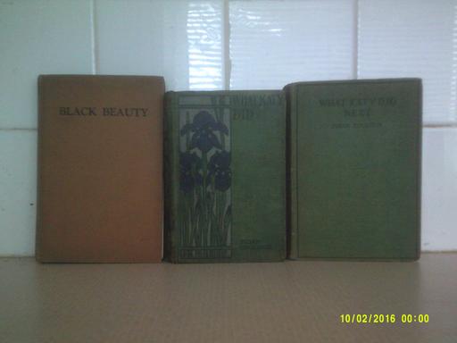 Buy & Sell Tyne and Wear Sunderland - Photos for Black Beauty and What Katy Did books