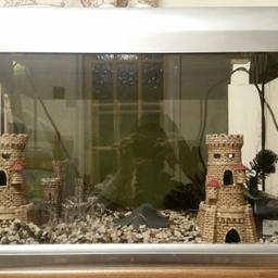 Warm water or cold water fish
3 ornamental decarations.
Tronic heater included costs £30 to buy if purchased separately. 2 fish tank filters. Size 30cm by 60 cm.
For quick sale no time wasters
Sensible offers accepted.
Will deliver if nearby.