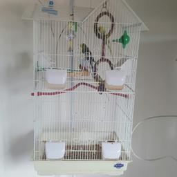 Nothing wrong with them just need the room, will be sad to let them go as daughter can no longer look after them. She has had them since they were 8 weeks. The cage and stand alone was £150.00, very Happy birds. Lovely temperament.

NEED GONE ASAP
FREE