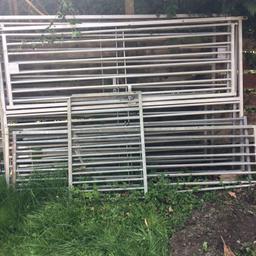 Used for dog kennels
Each one 6ft x 4ft