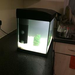 Length 30
Width 30
Depth 30-40

Fish tank comes with built in air filter,light, drum ornament, white gravel, fishnet, very lovely tank have had it for a long time but selling it due to an upgrade there are some scratches on the tank but it's never bothered me.

No time wasters please

Thank you