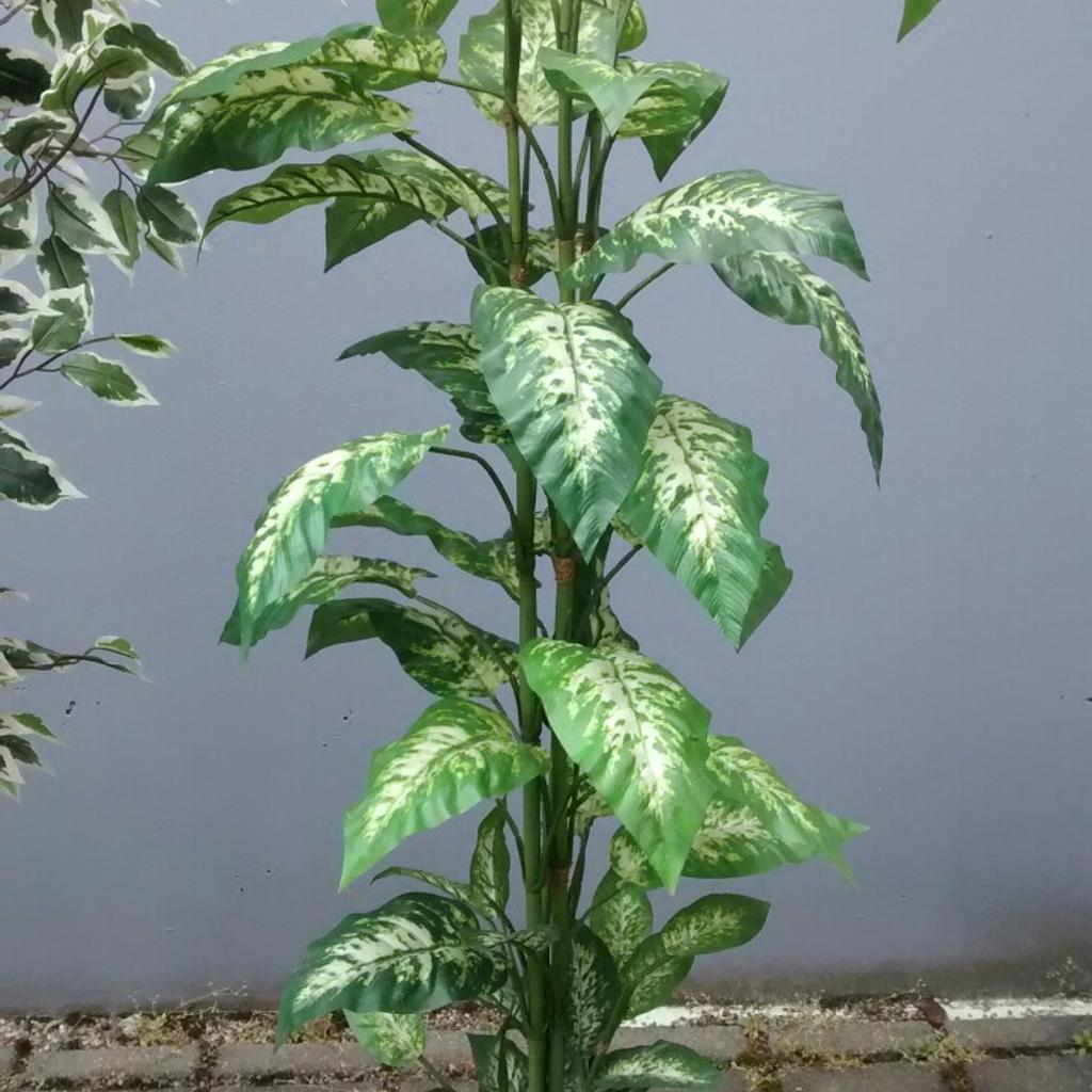 Kunstpflanzen Ficus Benjamini mit Topf in 68766 Hockenheim für 29,00