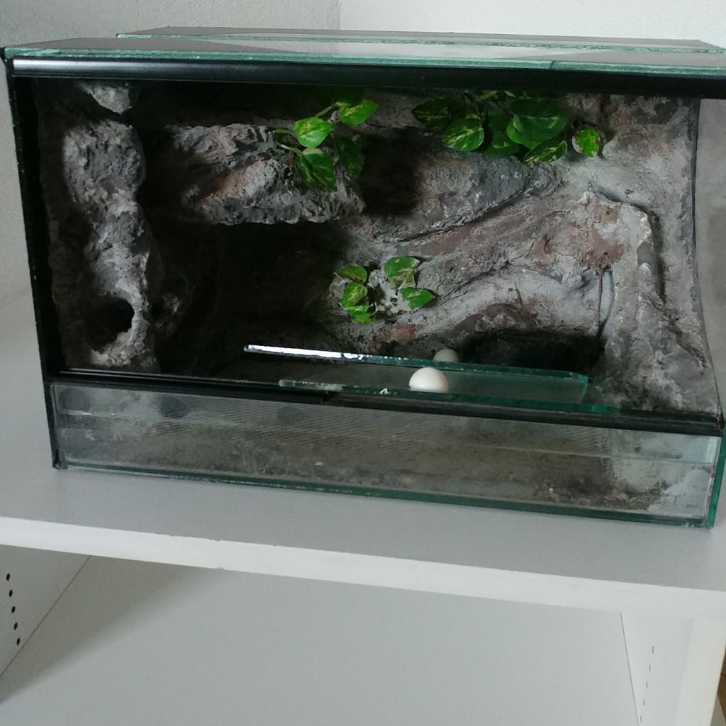 Terrarium für Spinnen /echsen in 74831 Gundelsheim für 22,00 € zum Verkauf Shpock DE