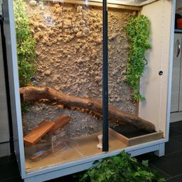 Home made large viv comes with everything in the picture including light box. Mesh grill top, 2 logs, greenery and other bits