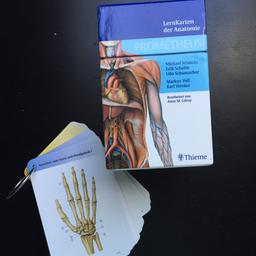 Verkaufe meine Prometheus Lernkarten der Anatomie. Das Set besteht aus 367 Lernkarten in den Kategorien Rücken, Thorax, Abdomen, Obere Extremität, Untere Extremität, Kopf und Hals und Neuroanatomie. 
Neupreis lag bei 39,99€.
