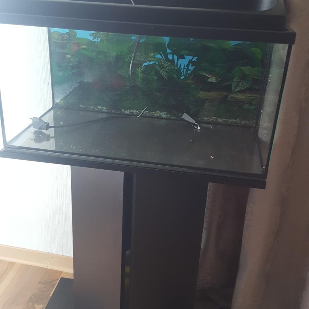 Aquarium 60 litre in 56070 Koblenz für € 40,00 zum Verkauf Shpock AT