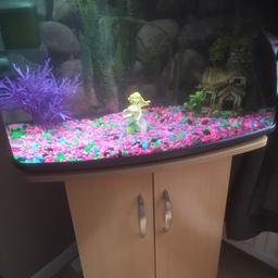 Here I have for sale a bow front fish tank with all thaw accessories to start an aquarium