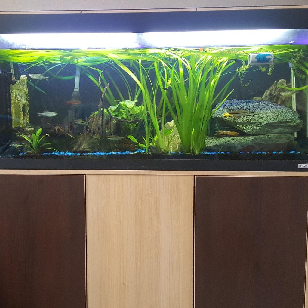Fish tank full set up. REDUCED TO GO in PR1 Preston für £ 200,00 zum ...