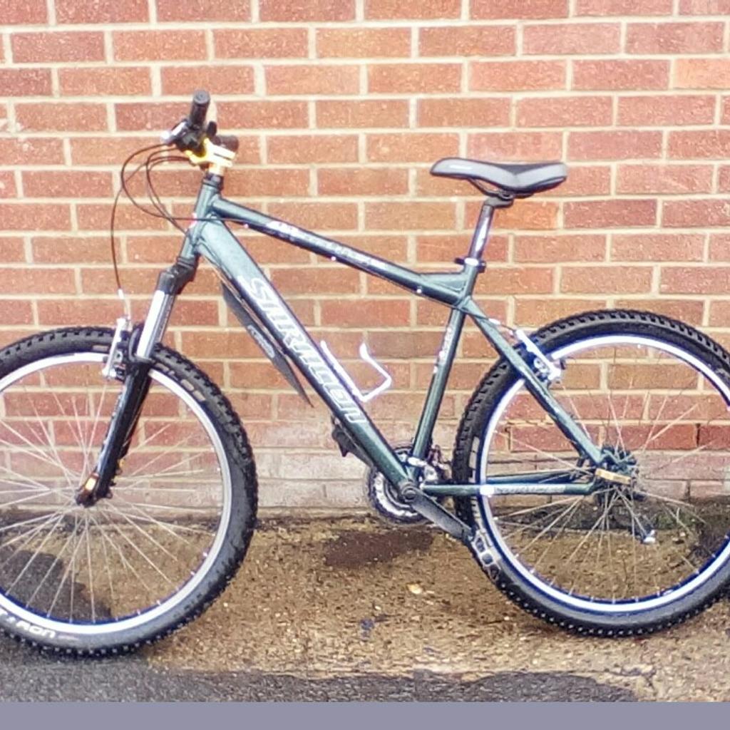 Saracen mantis sale