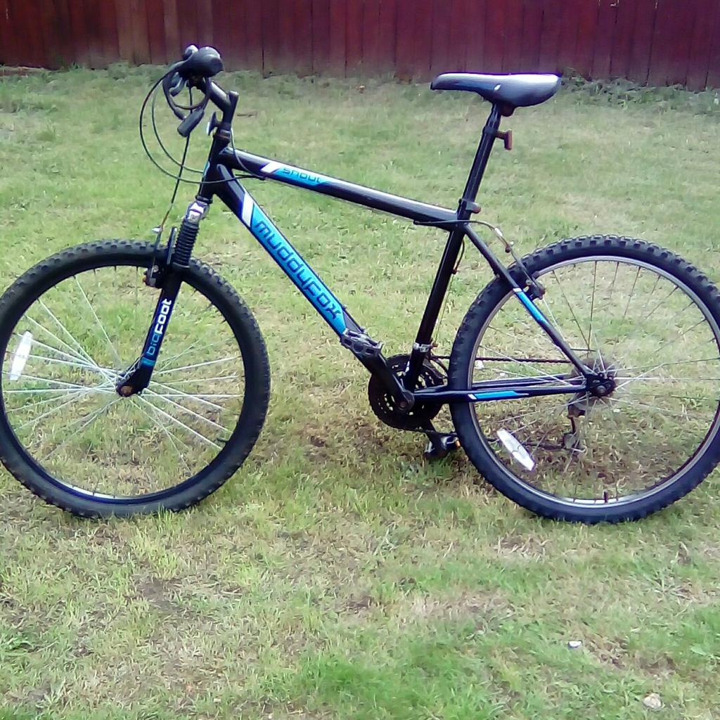 Muddyfox shout 2024 mountain bike