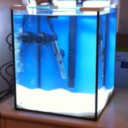 Small marine fish tank. Everything included to start
