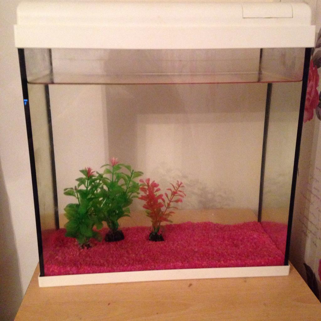 25-litre-fish-tank-in-ne37-washington-for-15-00-for-sale-shpock