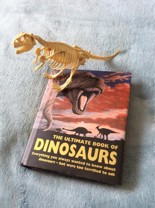 Buy & Sell Bexley Crayford - Dartford - Photos for Dinosaur book and model