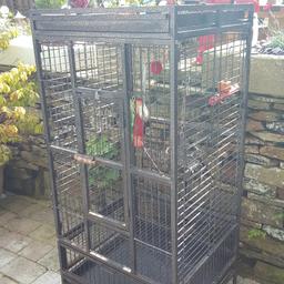 Large parrot cage used for an African grey