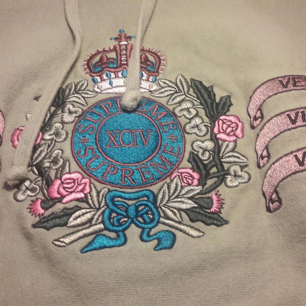 Supreme veni vidi vici hoodie hotsell