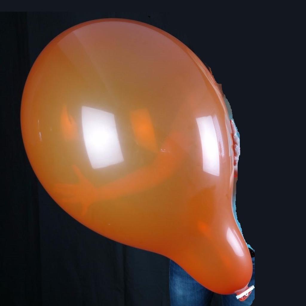 Qualatex Q24 Riesen Luftballon Looner in 71701 Schwieberdingen für 3,00