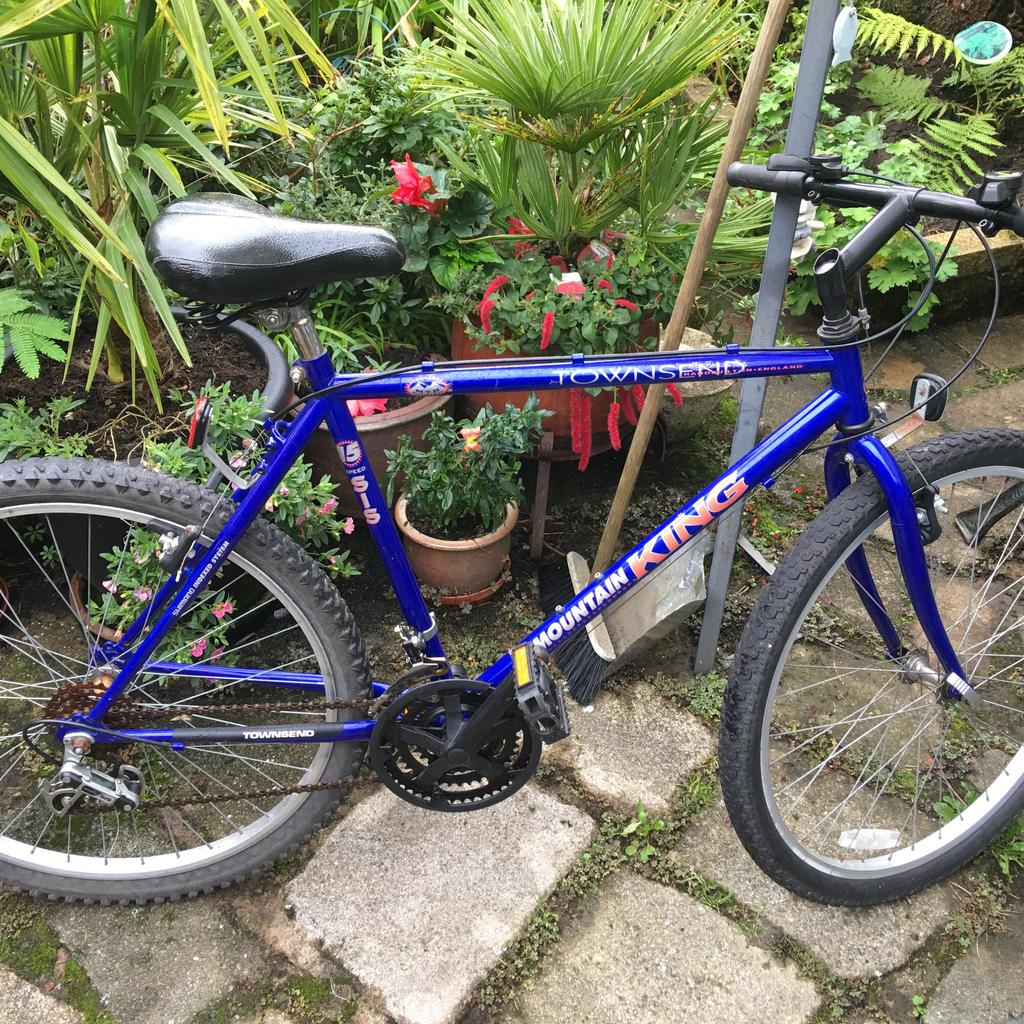 Townsend Mountain King Mountain Bike in BL1 Bolton for 50.00 for