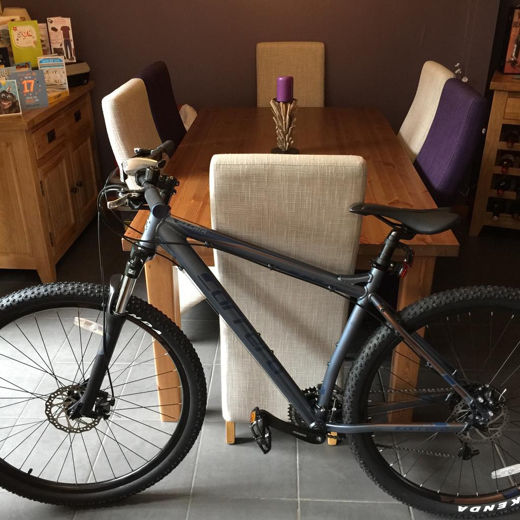 Carrera mountain bike discount grey