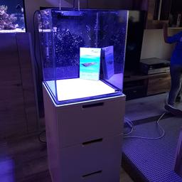 Verkaufe unser Meerwasseraquarium Dennerle Mauritius 60 Liter mit Unterschrank ,Heizstab und hochwertiger LED Lampe von Maxspact  Nano 70 W.Es befindet sich in gutem Zustand. Das letzte Bild zeigt wie es aussah. Bitte nur Abholung