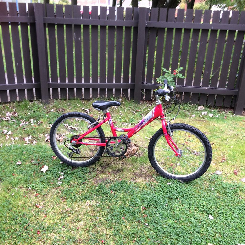 RALEIGH SHUGO 20 GIRLS BIKE in TS25 Carew for £29.00 for sale | Shpock