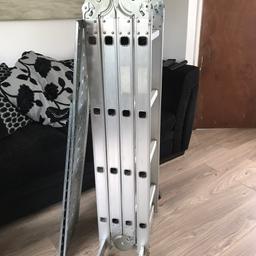 Multifunctional ladders, with tress-ell inserts all various heights and angles very good condition.