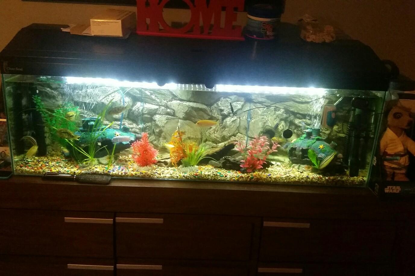 4 foot fish tank and stand in CH5 4UT Connah's Quay für £ 100,00 zum ...