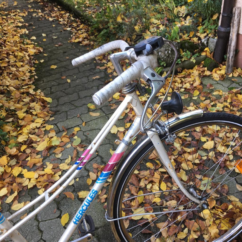 damenfahrrad 17 zoll THUNDER VOLTOURI Citybike 28 Damenfahrrad, Stahlrahmen Zoll Korb und Gepäckträger, Rücktrittbremse, Schutzbleche, höhenverstellbarer Sattel Bohnen einfrieren: So geht's rasierpinsel SIZE:S6