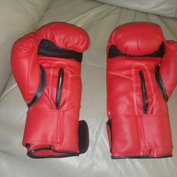 Everlast boxing gloves brand new large size