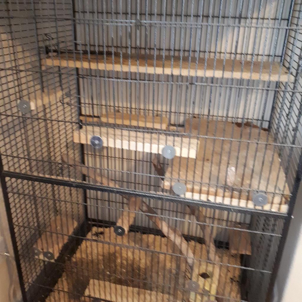 Large 5ft cage in M34 Denton for £40.00 for sale Shpock