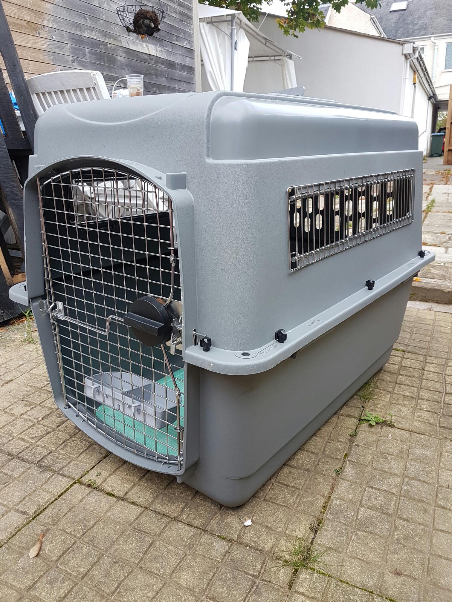 Petmate animal cage in Coventry für 20,00 £ zum Verkauf Shpock DE