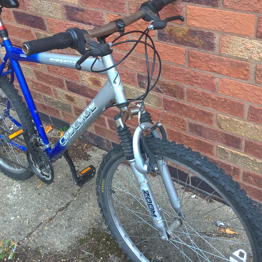 cascade spin bike reviews