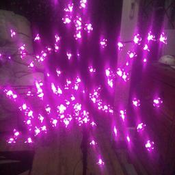 Pink flower lights with plug on stand looks lovely at night time