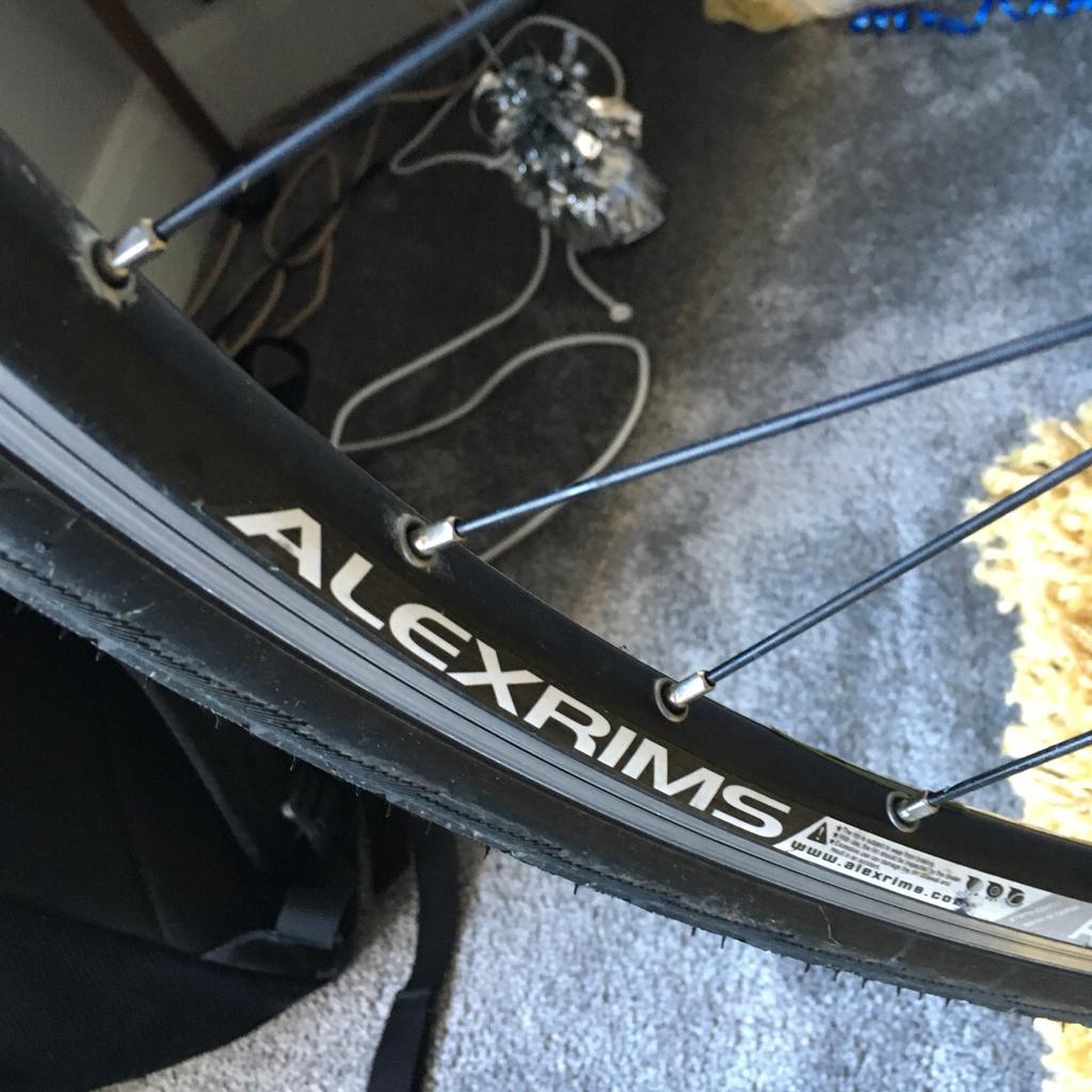 Ridgeback velocity 2016 cheap