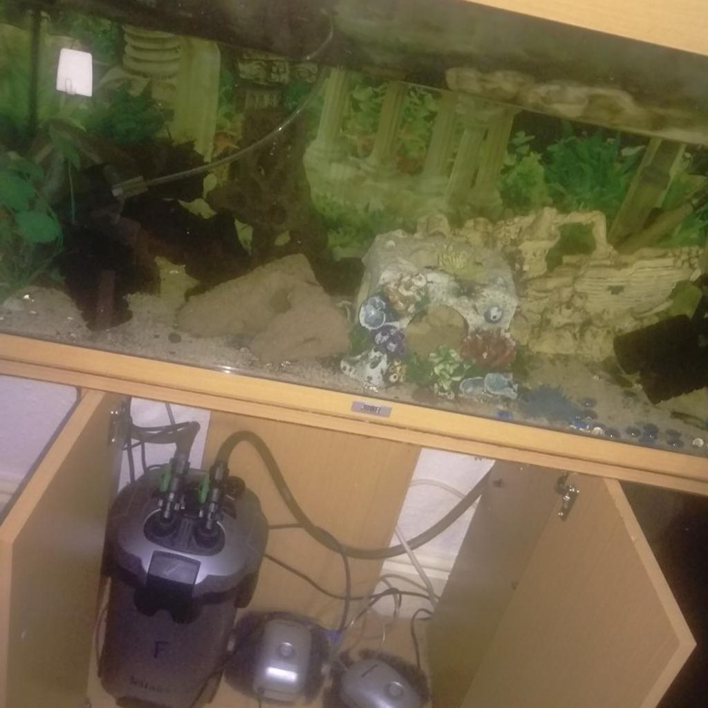 4ft tall fish tank with fish in M26 Radcliffe für £ 80,00 zum Verkauf