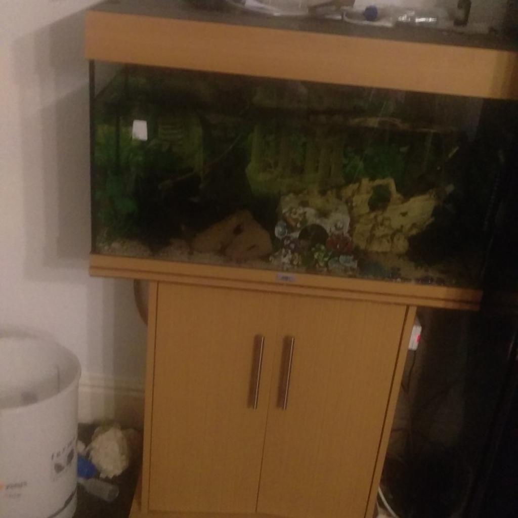 4ft tall fish tank with fish in M26 Radcliffe für £ 80,00 zum Verkauf