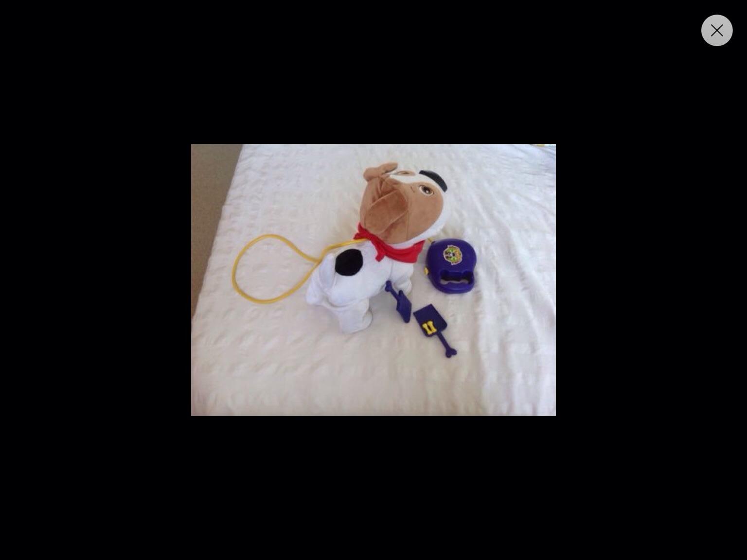 Caca max walking barking pooping dog in Sonning for £12.00 for sale ...