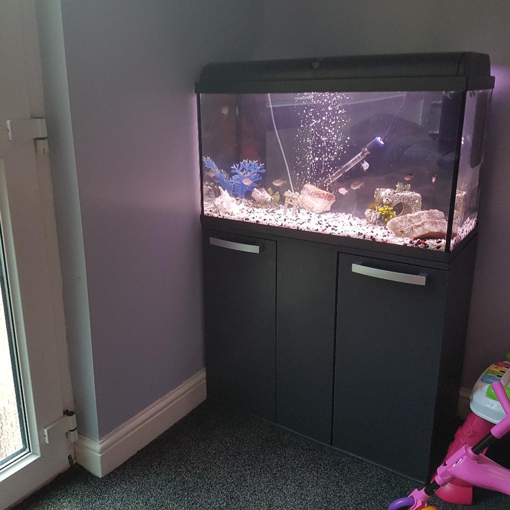 Tropical fish tank set up in S14 Sheffield für 150,00 £ zum Verkauf