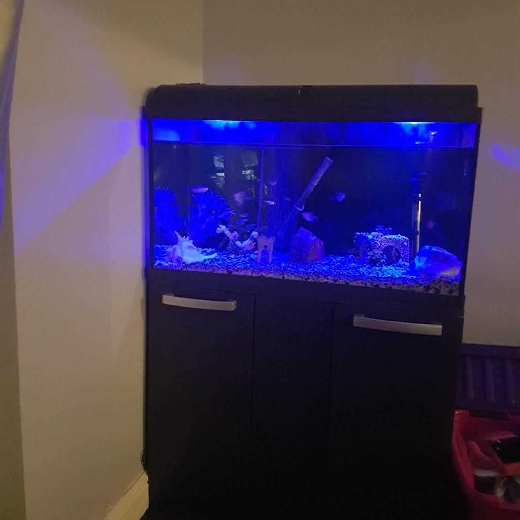 Tropical fish tank set up in S14 Sheffield für 150,00 £ zum Verkauf