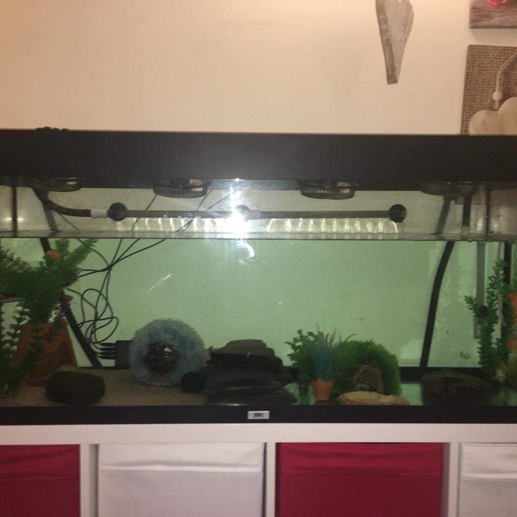 240 litre fish tank in ME4 Chatham for £60.00 for sale | Shpock