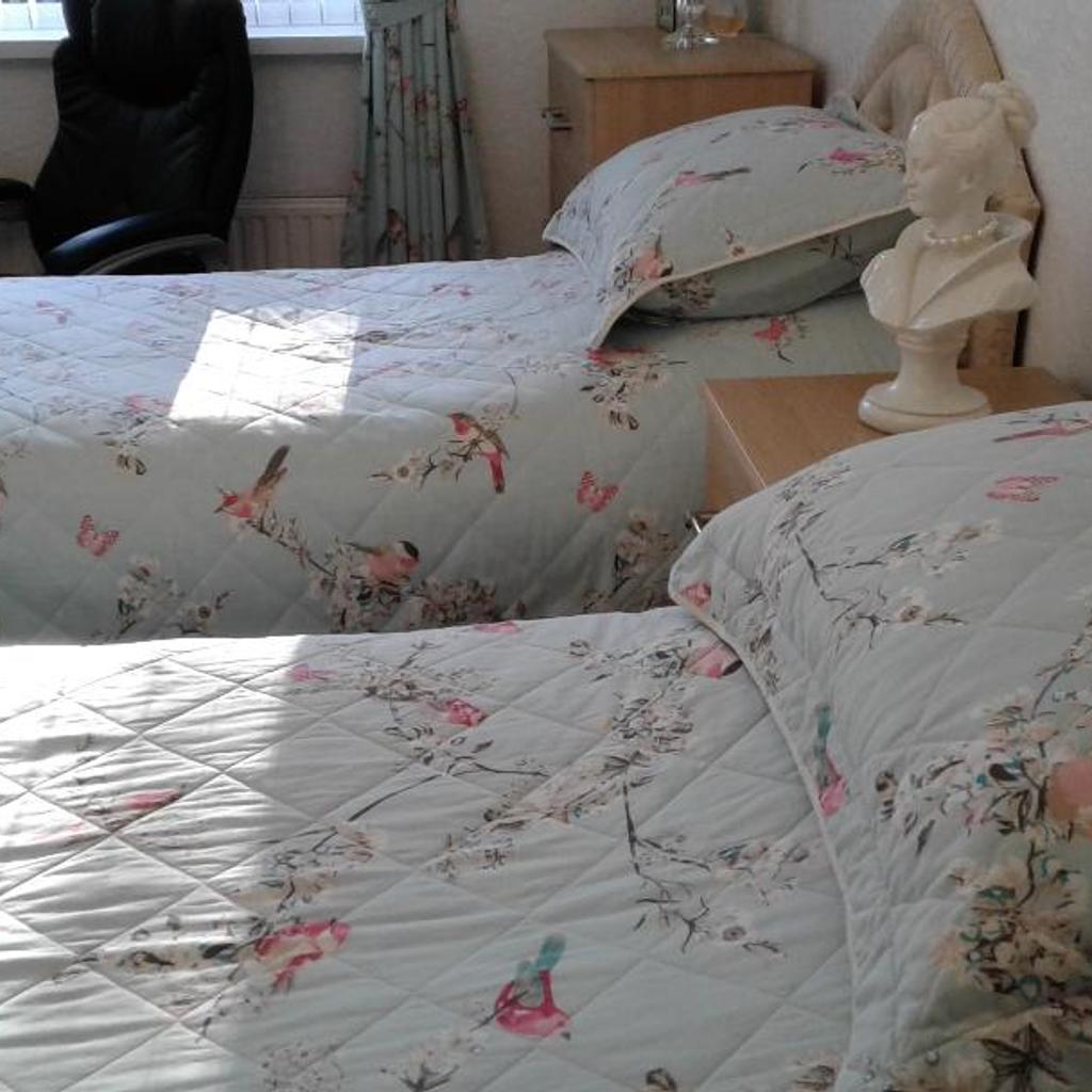 Dunelm mills Beautiful Birds collection. in S74 Hoyland for £45.00 for