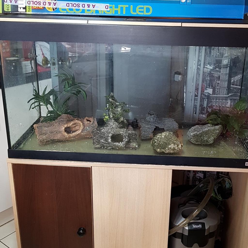 Fish tank in WV10 Wolverhampton für 175,00 £ zum Verkauf Shpock DE