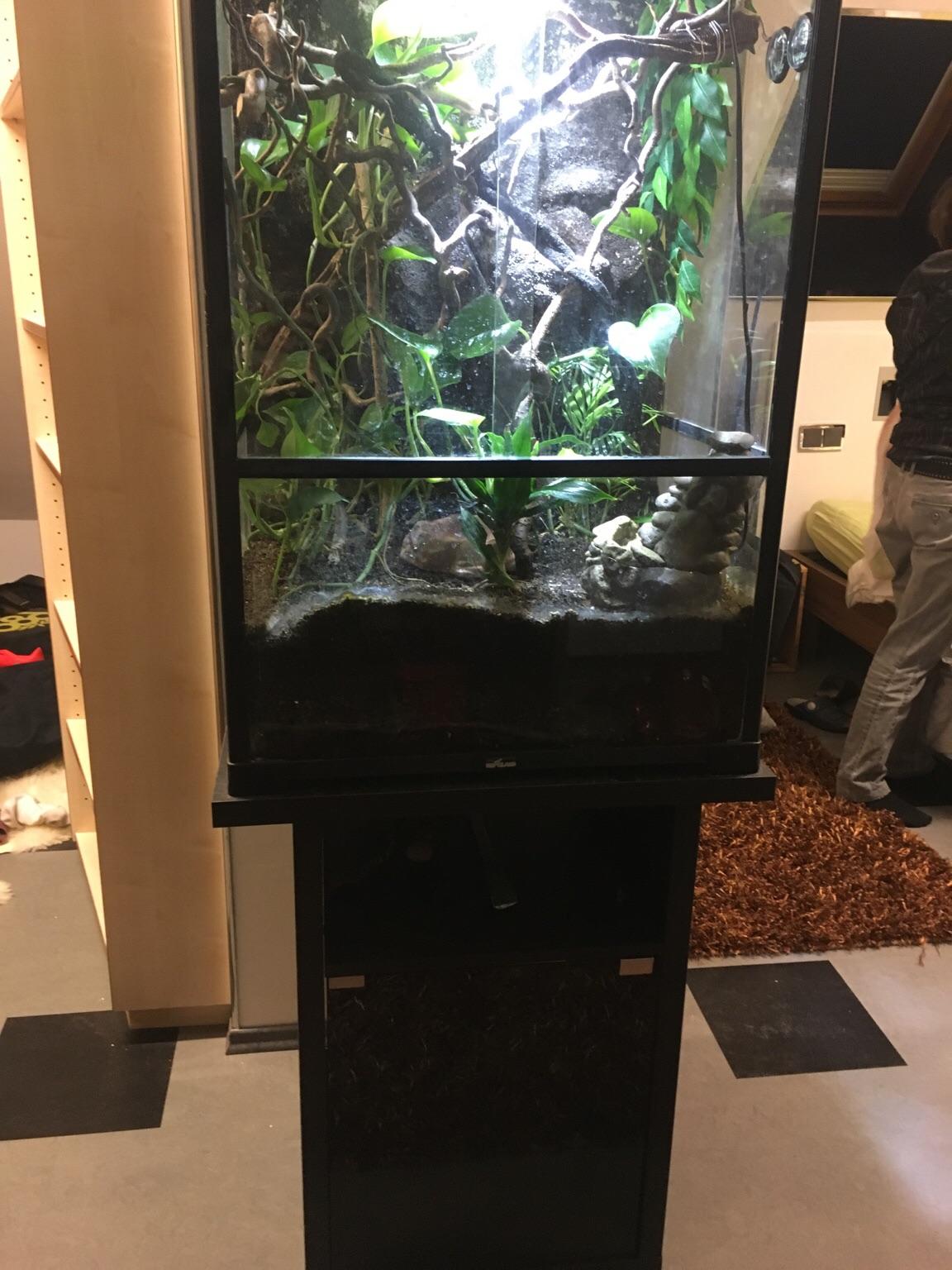 Terrarium mit Unterschrank in 6500 Landeck for €75.00 for sale Shpock