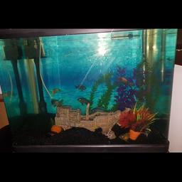 Fish tank with the following


-volume 102litres

-size h=128cm w=61cm depth=37cm

- nets

-cleaning pump

- water pump

- 15 Malawi ciclid

- filter

- heater

This tank is in great condition , cleaned weekly and available for collection

Please call 07740826678 for more details

Looking for £69