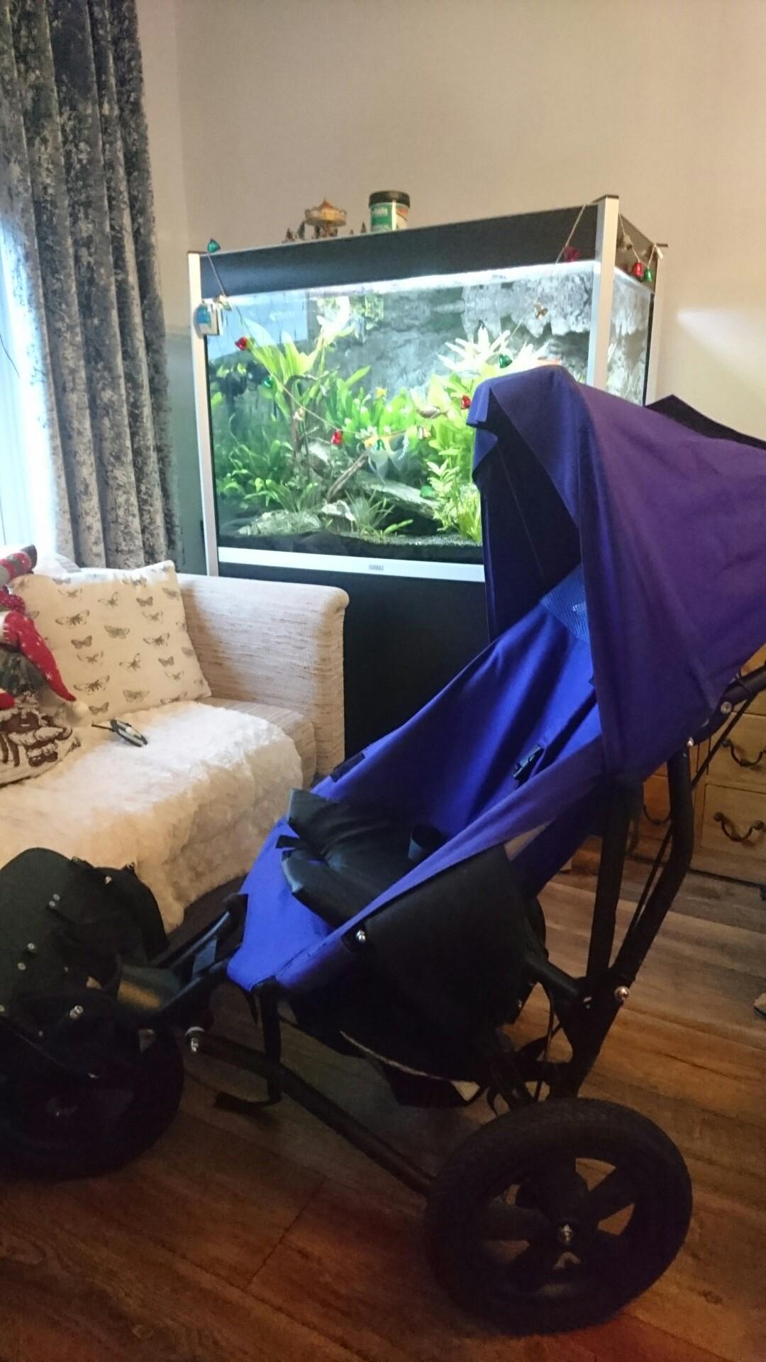 Delichon Delta Special Needs Buggy in TF12 Broseley for 500.00 for sale Shpock