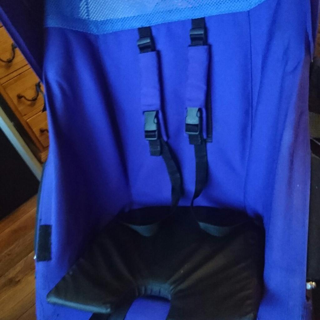 Delichon Delta Special Needs Buggy in TF12 Broseley for 500.00 for sale Shpock