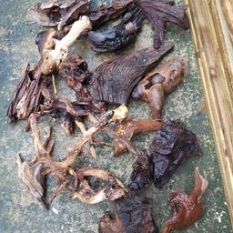 Giod mix of bogwood different sizes sell all together just needs good clean ideal for all plec keepers