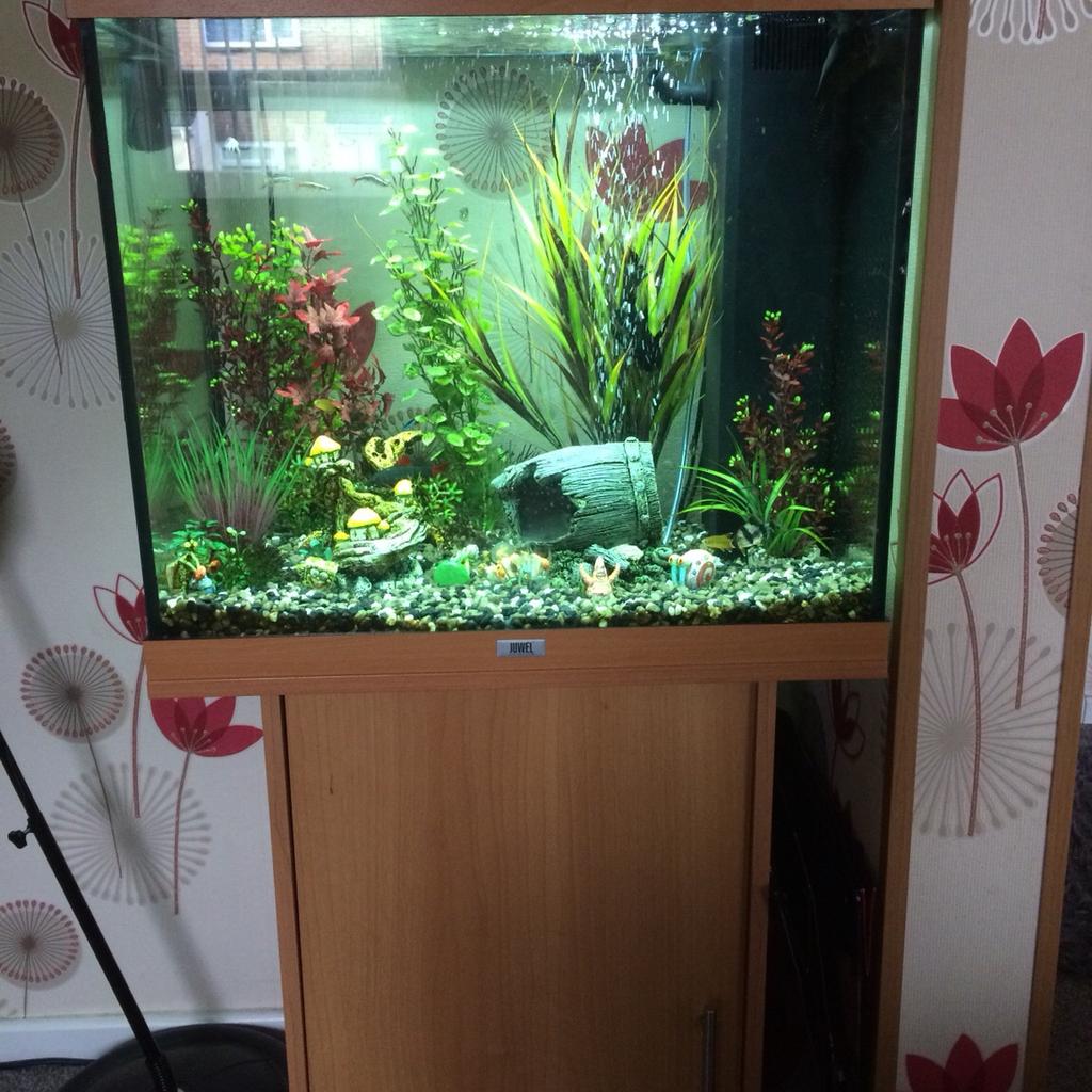 Juwel 120 litre aquarium in FY3 Carleton for £70.00 for sale Shpock